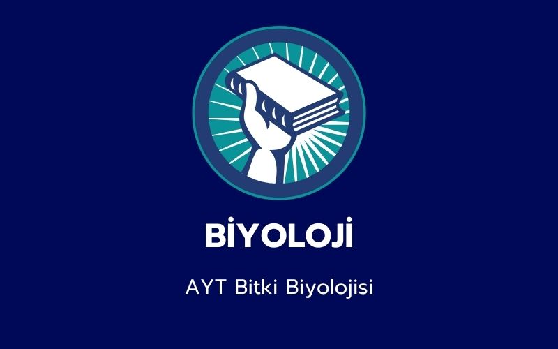 Biyoloji -  AYT Bitki Biyolojisi