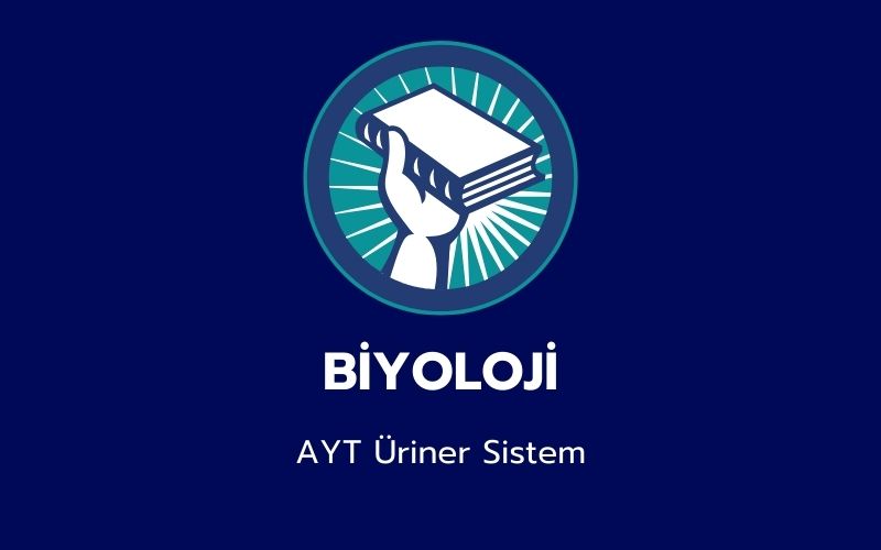 Biyoloji -  AYT Üriner Sistem